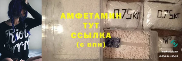 винт Алзамай