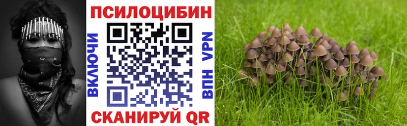 цена наркотик блэк спрут ТОР Псилоцибиновые грибы Magic Shrooms Лесной