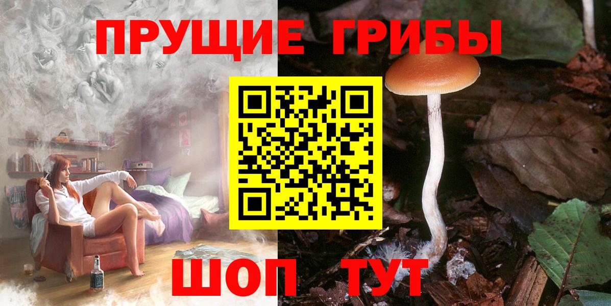 Лесной  Псилоцибиновые грибы Psilocybe  Вход с VPN  Галлюциногенные грибы прущие грибы 